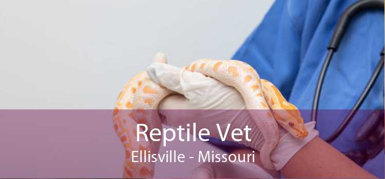 Reptile Vet Ellisville - Missouri