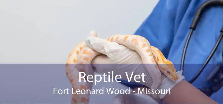 Reptile Vet Fort Leonard Wood - Missouri