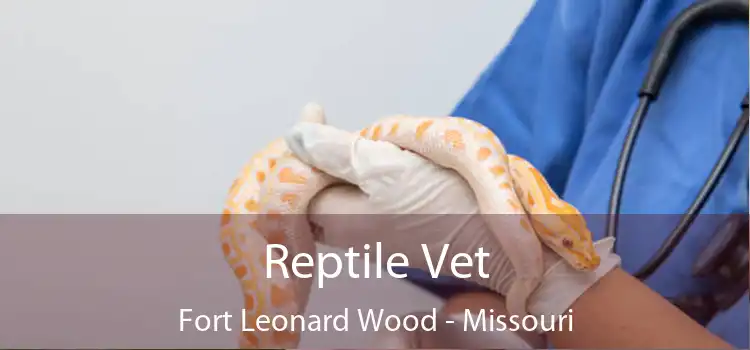 Reptile Vet Fort Leonard Wood - Missouri