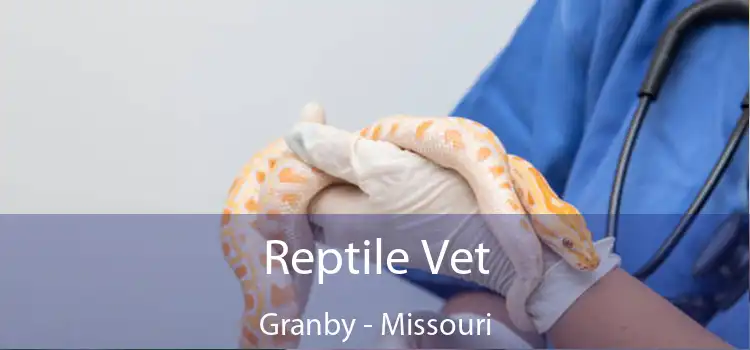 Reptile Vet Granby - Missouri