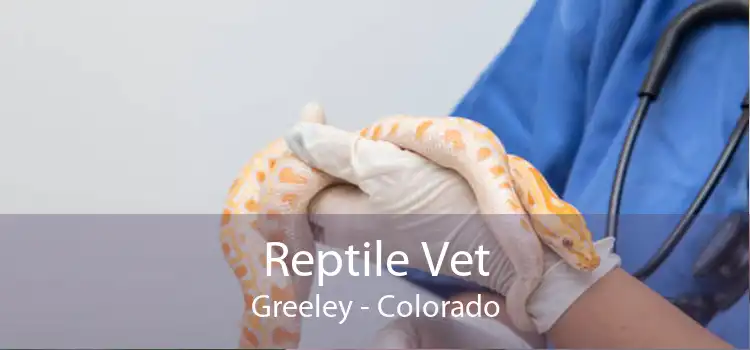 Reptile Vet Greeley - Colorado