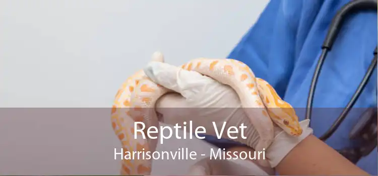 Reptile Vet Harrisonville - Missouri