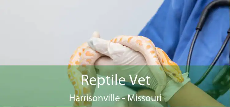 Reptile Vet Harrisonville - Missouri