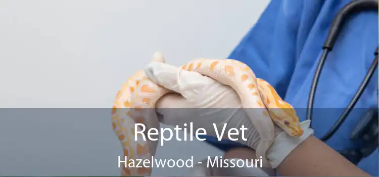 Reptile Vet Hazelwood - Missouri
