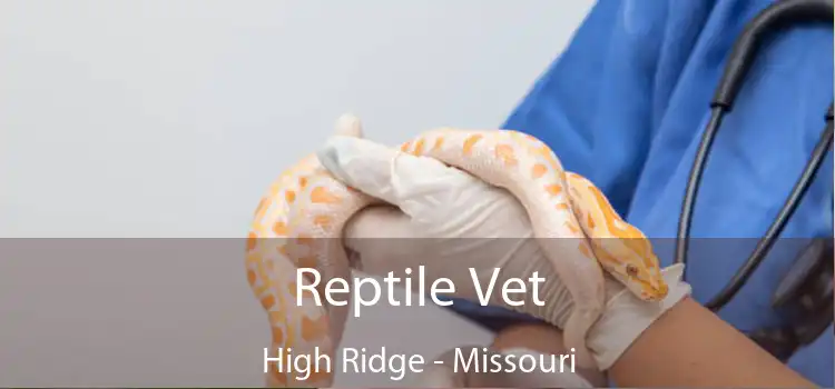 Reptile Vet High Ridge - Missouri