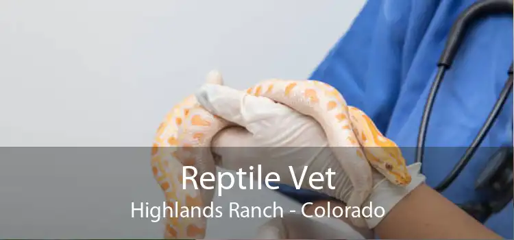 Reptile Vet Highlands Ranch - Colorado