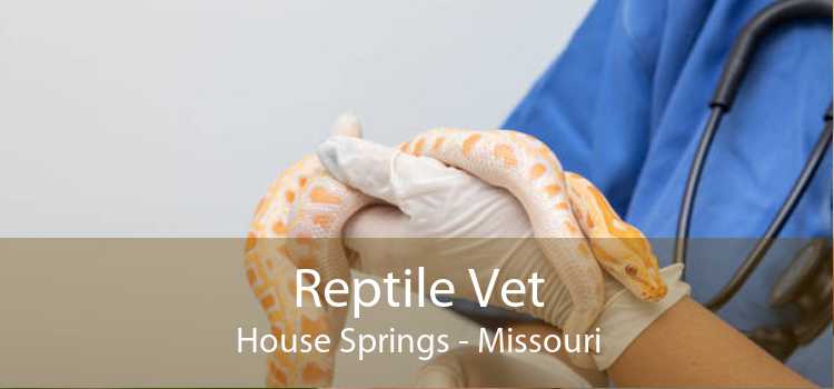 Reptile Vet House Springs - Missouri