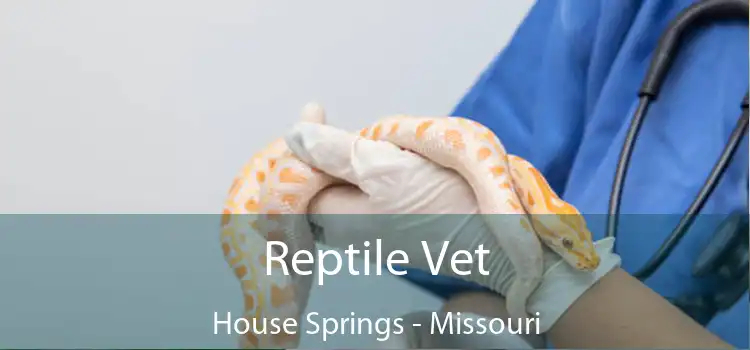 Reptile Vet House Springs - Missouri