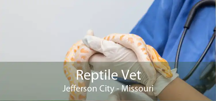 Reptile Vet Jefferson City - Missouri