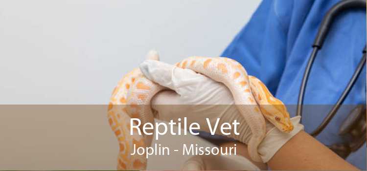 Reptile Vet Joplin - Missouri