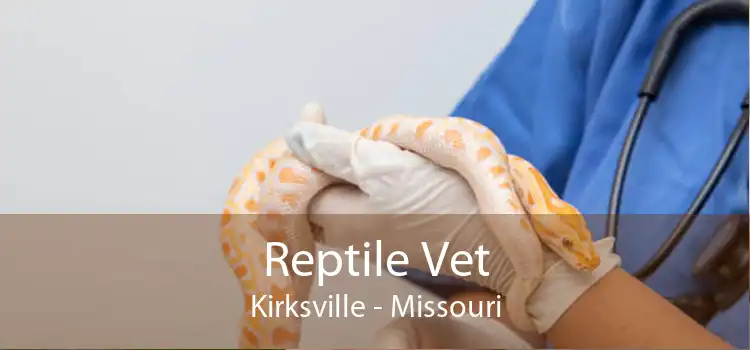 Reptile Vet Kirksville - Missouri