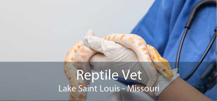 Reptile Vet Lake Saint Louis - Missouri