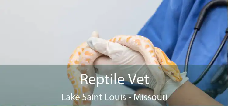 Reptile Vet Lake Saint Louis - Missouri