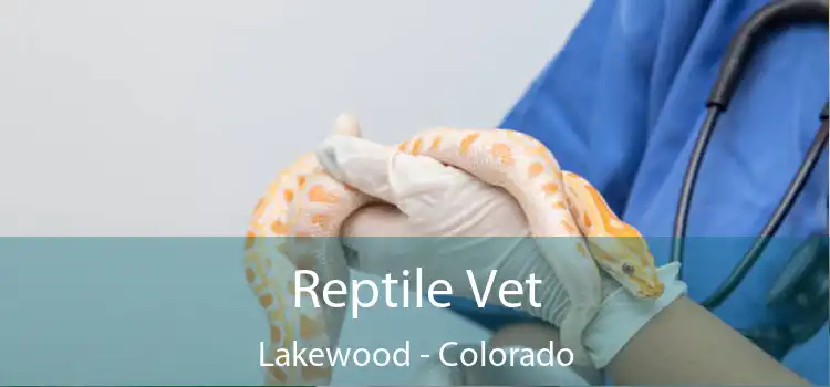 Reptile Vet Lakewood - Colorado