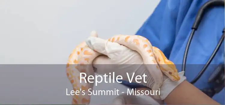 Reptile Vet Lee's Summit - Missouri