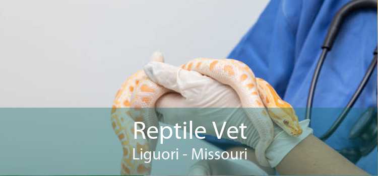 Reptile Vet Liguori - Missouri