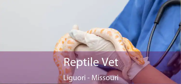 Reptile Vet Liguori - Missouri
