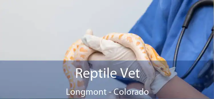 Reptile Vet Longmont - Colorado