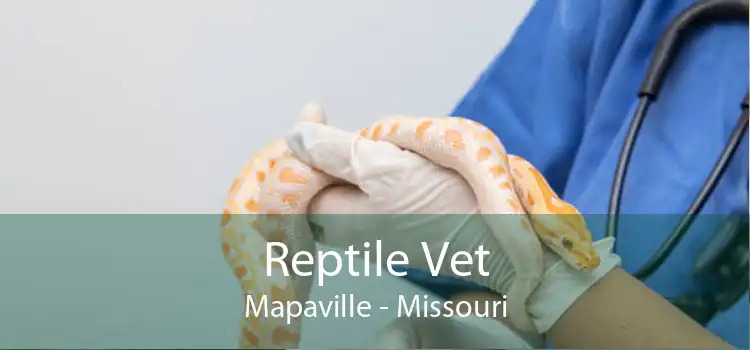 Reptile Vet Mapaville - Missouri