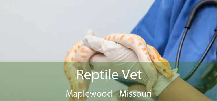 Reptile Vet Maplewood - Missouri