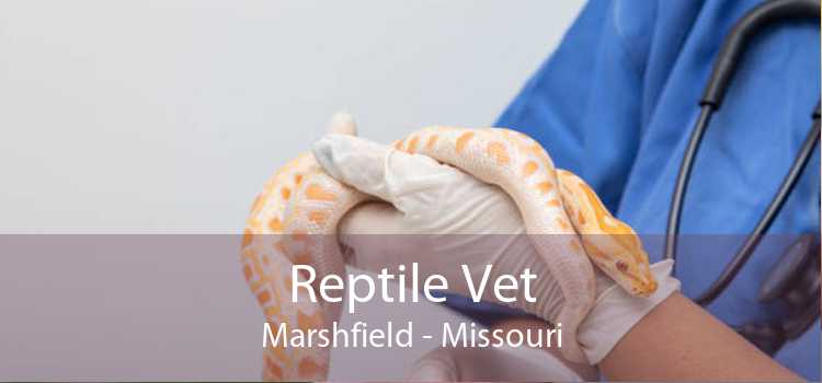Reptile Vet Marshfield - Missouri