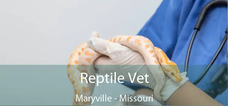 Reptile Vet Maryville - Missouri