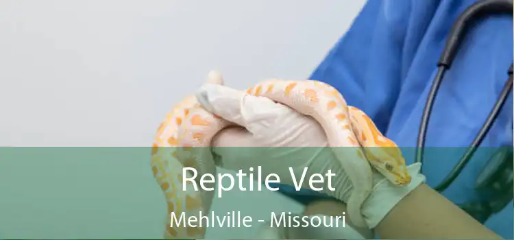 Reptile Vet Mehlville - Missouri