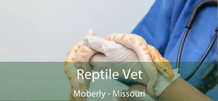 Reptile Vet Moberly - Missouri