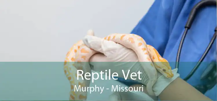 Reptile Vet Murphy - Missouri