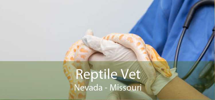 Reptile Vet Nevada - Missouri