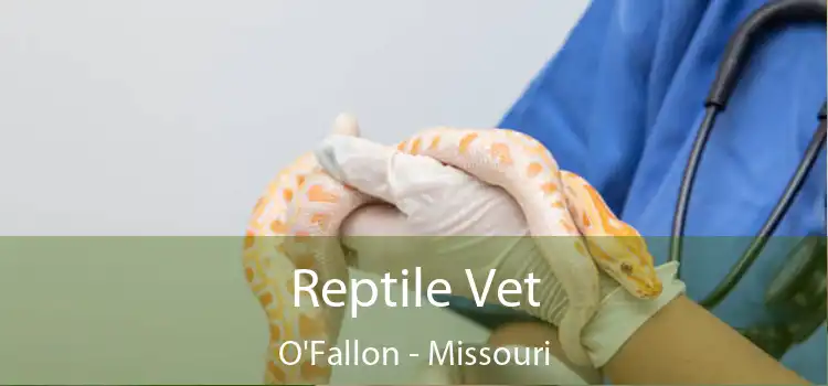 Reptile Vet O'Fallon - Missouri