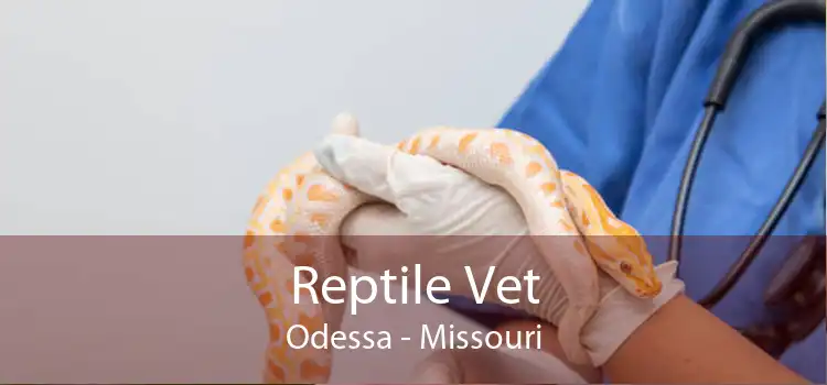 Reptile Vet Odessa - Missouri