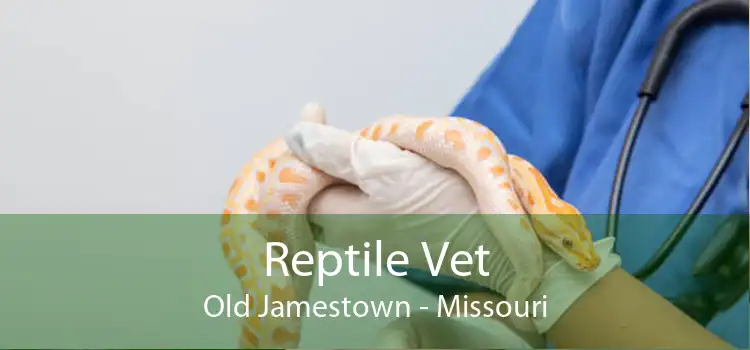 Reptile Vet Old Jamestown - Missouri