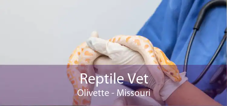 Reptile Vet Olivette - Missouri