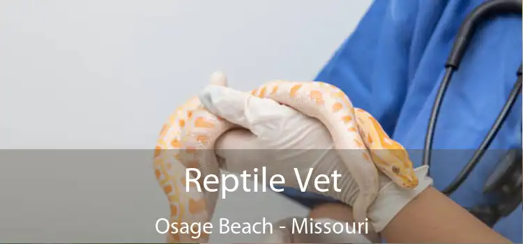 Reptile Vet Osage Beach - Missouri