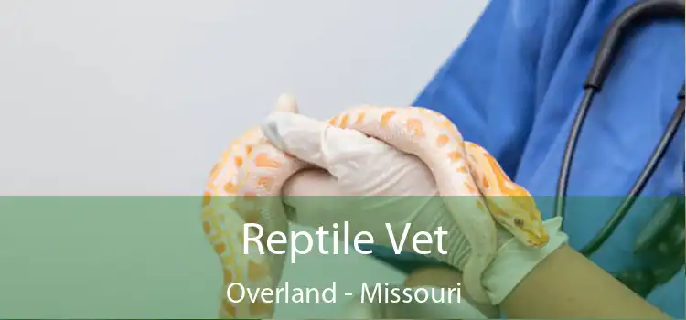 Reptile Vet Overland - Missouri