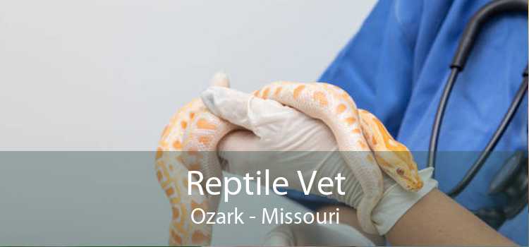 Reptile Vet Ozark - Missouri