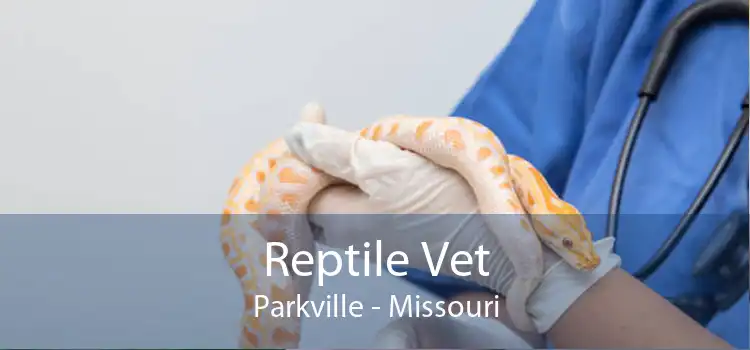 Reptile Vet Parkville - Missouri