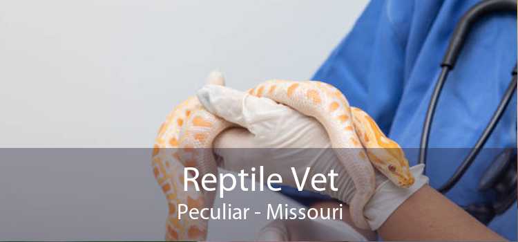 Reptile Vet Peculiar - Missouri