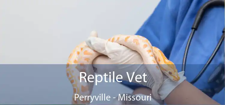 Reptile Vet Perryville - Missouri