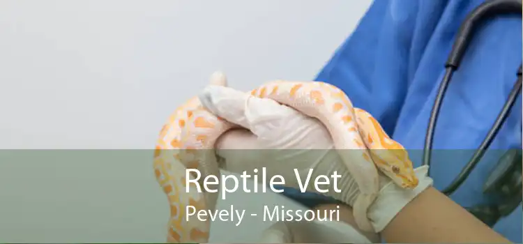 Reptile Vet Pevely - Missouri