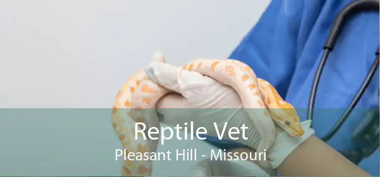 Reptile Vet Pleasant Hill - Missouri