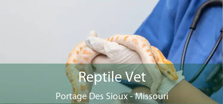 Reptile Vet Portage Des Sioux - Missouri