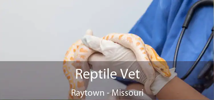 Reptile Vet Raytown - Missouri