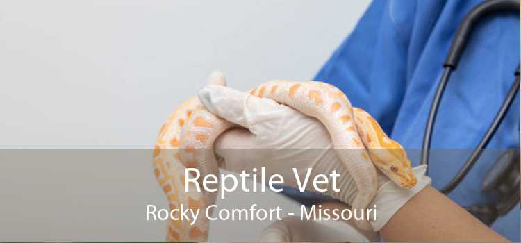 Reptile Vet Rocky Comfort - Missouri