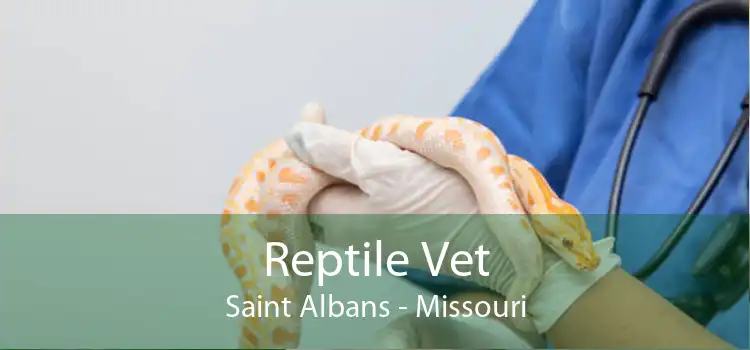 Reptile Vet Saint Albans - Missouri