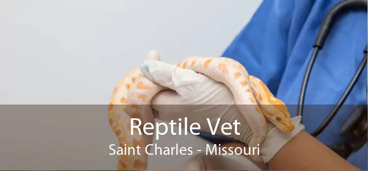Reptile Vet Saint Charles - Missouri