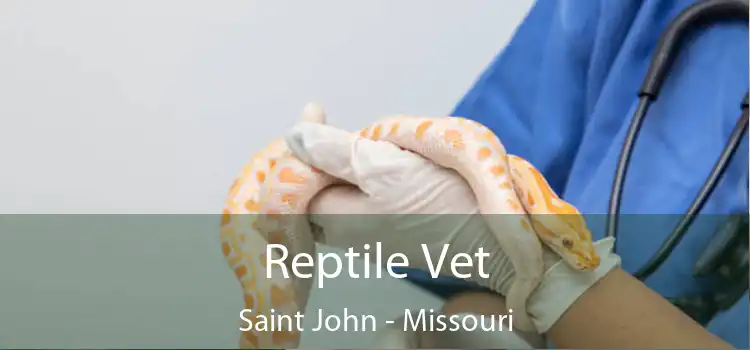 Reptile Vet Saint John - Missouri
