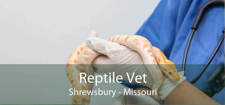 Reptile Vet Shrewsbury - Missouri