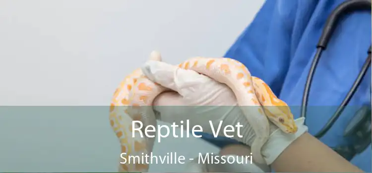 Reptile Vet Smithville - Missouri